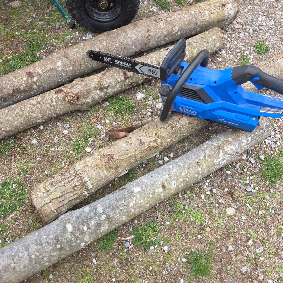 Four-foot logs cut with a chainsaw, ready to frame the mushroom bed