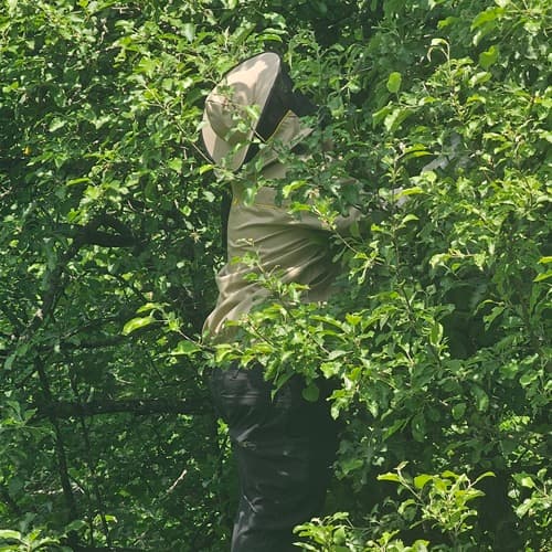 Derek, a beekeeper, on a ladder capturing a swarm