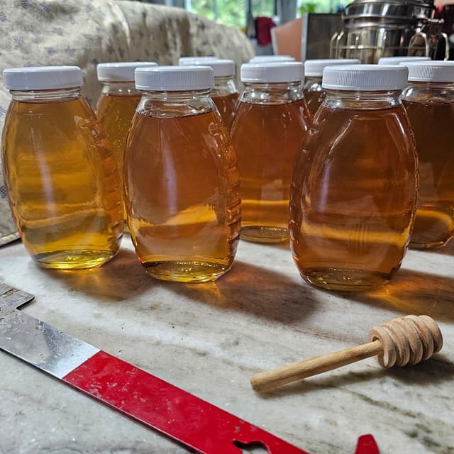 Jars of honey with hive tool and honey dipper